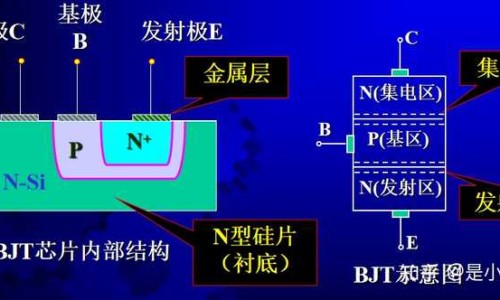 吃什么水果能减大肚子-吃什么水果减肚子脂肪网 - 为你提供吃什么水果减肥最快减肚子、吃什么水果减肚子脂肪快